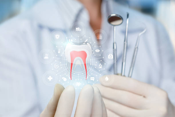 Best Dental X-Rays and Imaging  in North Charleroi, PA